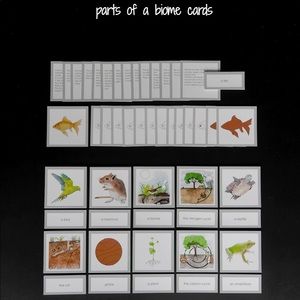 Waseca Introduction to Biomes Card Set and booklet.